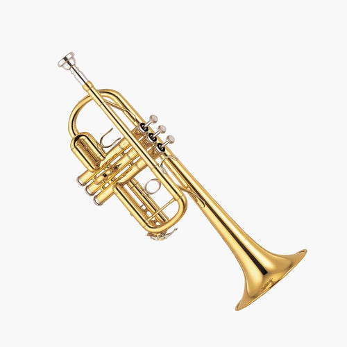 Trumpet Large